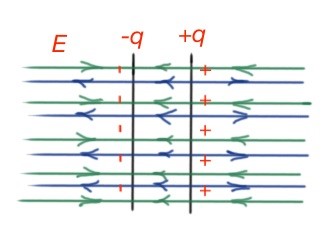 Figure 21. Electric field lines for a plate capacitor