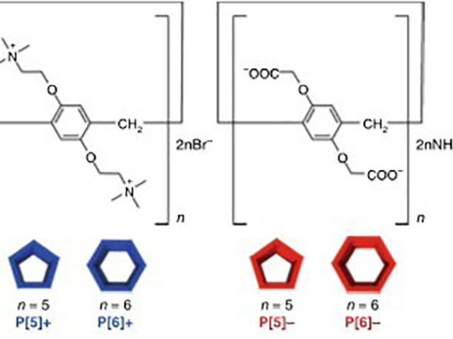 Self-sorting through molecular geometries