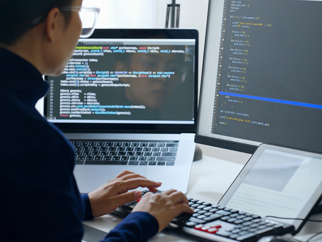 Software engineering and programming uptake is on the rise